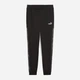 Спортивные штаны утепленные мужские Puma Essentials Graphics 68937101 S Black (4069156541009) - изображение 4