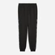 Спортивные штаны утепленные мужские Puma Essentials Graphics 68937101 S Black (4069156541009) - изображение 5