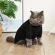 Свитшот кофта для собак с высоким воротничком S до 2кг. Черный - изображение 6