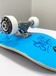 Скейтборд трюковой Enuff Skully Blue Mini 7.25'' (alt212) - изображение 6