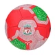 Футбольный мяч "Ливерпуль" Liverpool №5 MIC (261218) - изображение 1