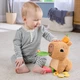 Розвиваюча іграшка Fisher-Price Капібара (HYR54) - зображення 4
