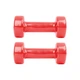 Гантелі вінілові inSPORTline Smoothbell, 2 x 1,5 кг - зображення 3