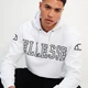Мужское Худи Ellesse Montato OH Hoody Белый L (7dSXT19205-908 L) - изображение 5