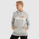 Женское Худи Ellesse Torices OH Hoody Серый XL (7dSGS03244-112 XL) - изображение 1
