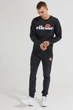 Чоловічий Світшот Ellesse SL Succiso Sweatshirt Сірий S (7dSHC07930-106 S) - зображення 1