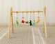 Мобиль детский напольный BabyGym XRMASTER Динозаврики - изображение 2