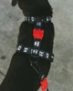 Шлейка для собак Zee.Dog Skull Розмір XS (23654) - зображення 6