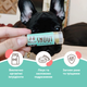 Бальзам для носика Snout Soother Natural Dog Company 4.25мл стик (ND-SNSR-01) - зображення 2