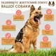 Лососевое масло Wild Alaskan Salmon Oil Natural Dog Company, 480мл (ND-WASO-16) - изображение 4