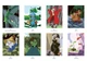 Розмальовка номерів Disney Hachette Coloriages mysteres Petites bêtes Франція - зображення 5