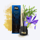 Dyfuzor z pałeczkami zapachowymi Erla Home Ritha Angelo 100 ml (5906534019943) - obraz 3
