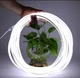 Светодиодная лента гибкий неон NEON Premium холодный белый цвет 5 метров 220V IP65 - изображение 2