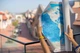 Скретч-карта мира Discovery Map, Silver - изображение 5