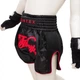 Детские тайские шорты Fairtex BSK2104 Kids Midnight Red (BSK2104-6-8Y) - изображение 3