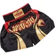 Тайские шорты Venum Chaiya Muay Thai Black Gold (V-Chaiya-BG-S) - изображение 1