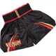 Тайские шорты Venum Chaiya Muay Thai Black Gold (V-Chaiya-BG-S) - изображение 2