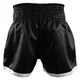 Тайские шорты Hayabusa Premium Muay Thai Shorts Black (HPM-BL-36) - изображение 2