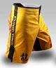Шорты ММА PunchTown Ode To Dragon Shorts (PT-SHTS-OTT-32) - изображение 1