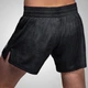 Шорты Hayabusa Arrow Kickboxing Shorts Black (ARKBS-B-30) - изображение 2