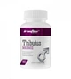 Трибулус IRONFLEX Tribulus Maximus 60tab повышение тестостерона,тестостероновый бустер - изображение 1