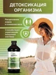 Хлорофіл рідкий Swanson Liquid Chlorophyll 473ml, комплекс для травлення - зображення 3