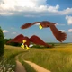 Стретч-іграшка у вигляді тварини – Тварини України - изображение 5