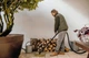 Пылесос Karcher WD 3 V-17/4/20 (1.628-130.0) - изображение 5