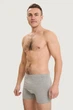 Трусы боксеры, 3 штуки John Frank 52(XL) Серый-Синий-Антрацит (98439) - изображение 3