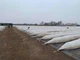 Дуги для парника ЕЛІТ КОМПОЗИТ зі склопластику 10 мм 100м - зображення 2
