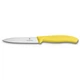 Кухонний ніж Victorinox Swiss Classic Paring 6.7706.L118 - зображення 1