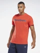 Футболка хлопковая спортивная длинная мужская Reebok GS Reebok Linear Re HB7267 M Коралловая (4065424060272) - изображение 1