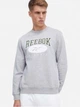 Свитшот мужской Reebok 3W Reebok Classics Big Logo 100036884 S Серый (4066763123611) - изображение 1