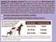 Витаминный комплекс для иммунитета против аллергии Natural Dog Company Aller-Immune 90 шт (ND-IMMX-90) - изображение 2