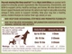 Витаминный комплекс для суставов и связок собак Natural Dog Company Hip&Joint 90 шт (ND-HAJS-90) - изображение 2