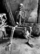 Скелет на Хэллоуин в полный рост (165 см) - изображение 5
