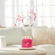 Ароматическая свеча Red Raspberry Medium Yankee Candle - изображение 4