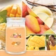 Ароматическая свеча Mango Ice Cream Large Yankee Candle - изображение 7