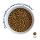 Сухой корм для котят HOME FOOD Fresh Chicken For kittens 1-12 months 10 кг - изображение 2
