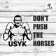 Наклейка на авто Oracal Don't push the horses Не жени коней Усик боксер Чорна 20х13см (SP002-b2) - зображення 1