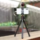 Штатив-тренога Ulanzi MT-11 Vijim Octopus Tripod для камер та смартфонів, Black - зображення 7