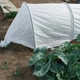 Агроволокно белое пакетированное Shadow 30 г/м² 3,2x10 м (TBiz14956) - изображение 5