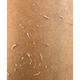 Відлущуюча пілінг-скатка для обличчя MODAY Ice gel peeling 100 мл з AHA кислотами та ментолом - зображення 4