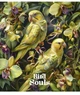 Комплект 5 шт загальних зошитів Bird Souls. Зошит Школярик 48 арк. у клітинку 3457 4820006471354 - изображение 6