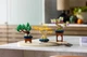 Конструктор LEGO Botanicals Мінідерева бонсай 709 деталей (10373) - зображення 11