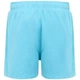 Шорти Mawson SwShortIII Regatta RMM016-42L 46 Блакитний (5063516012580) - изображение 7