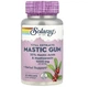 Смола мастикового дерева, екстракт, Mastic Gum, Solaray, 500 мг, 45 вегетаріанських капсул (SOR-03688) - зображення 1