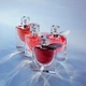 Миниатюра парфюмированной воды для женщин Lancome La Vie est Belle L'Elixir 4 мл (3614274169676) - изображение 7