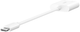 Adapter Belkin RockStar USB Type-C - mini-Jack 3.5 mm with PD 60W 0.15 m White (NPA004BTWH) - obraz 2