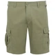 Шорти RuwanShort Regatta RMJ310-9B9 40 Хакі (5063019712604) - изображение 5